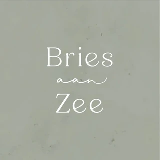 briesaanzee.nl