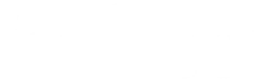 in-lite.com